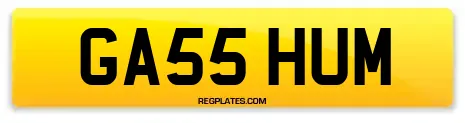 GA55 HUM