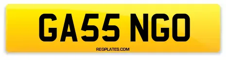 GA55 NGO