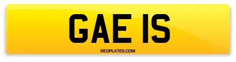 GAE 1S