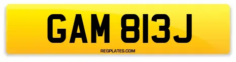 GAM 813J