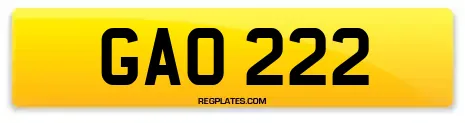 GAO 222