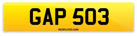 GAP 503