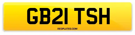 GB21 TSH