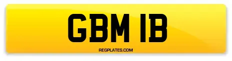 GBM 1B