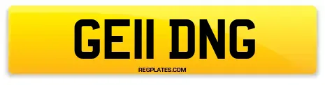 GE11 DNG