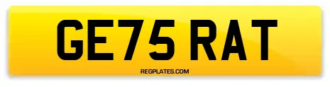 GE75 RAT