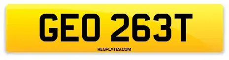 GEO 263T