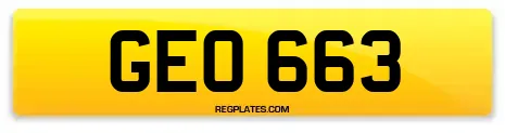 GEO 663