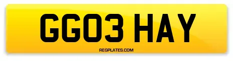 GG03 HAY