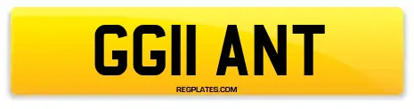 GG11 ANT
