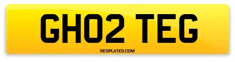 GH02 TEG