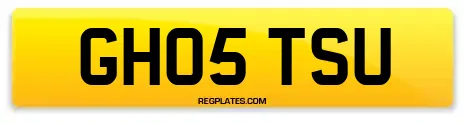 GH05 TSU