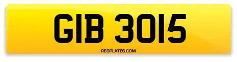 GIB 3015