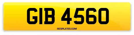 GIB 4560