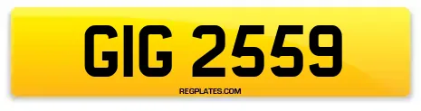 GIG 2559