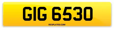 GIG 6530