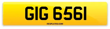 GIG 6561