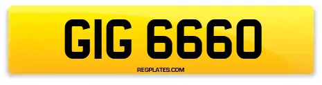 GIG 6660