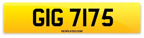 GIG 7175