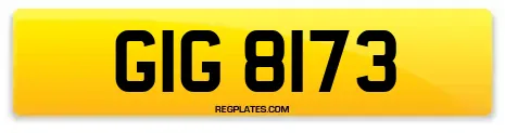 GIG 8173