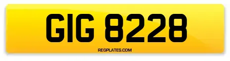 GIG 8228