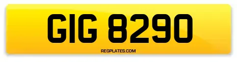 GIG 8290