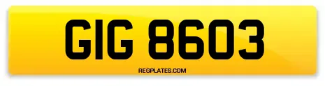 GIG 8603