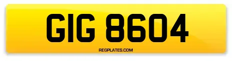 GIG 8604