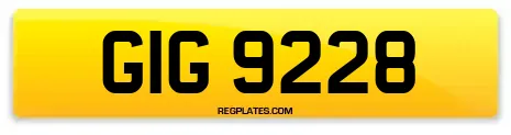 GIG 9228