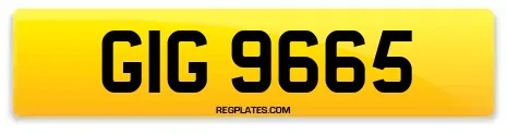 GIG 9665