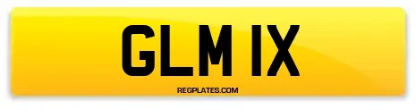 GLM 1X