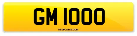 GM 1000