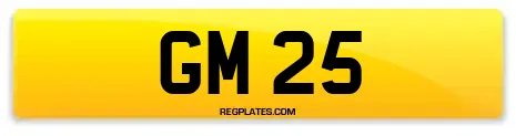 GM 25