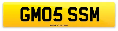 GM05 SSM