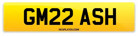 GM22 ASH