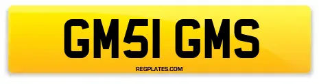 GM51 GMS