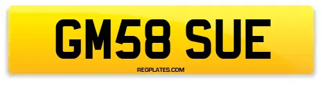 GM58 SUE