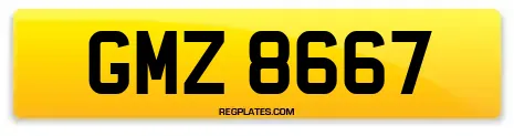 GMZ 8667