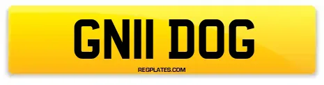 GN11 DOG
