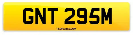 GNT 295M