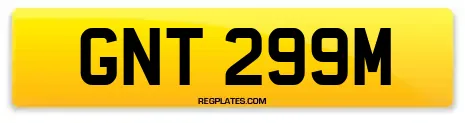 GNT 299M