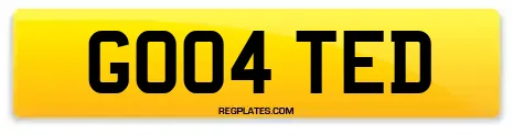 GO04 TED