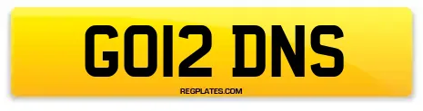 GO12 DNS