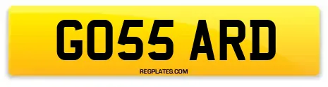 GO55 ARD