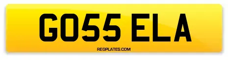 GO55 ELA