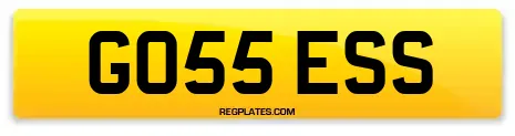 GO55 ESS