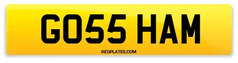 GO55 HAM