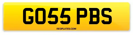 GO55 PBS