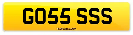 GO55 SSS