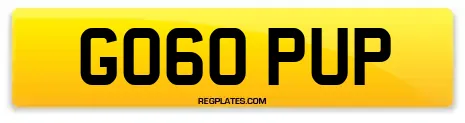 GO60 PUP